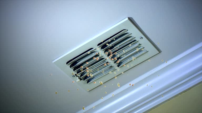 Best Home Air Vent Cleaning  in Port Ewen, NY